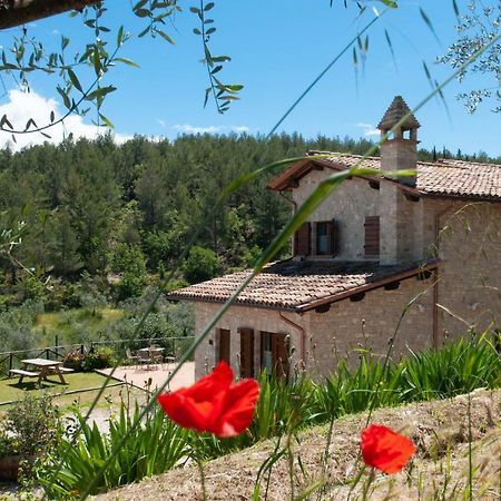 Agriturismo Molino Verde Montecchio  Bagian luar foto