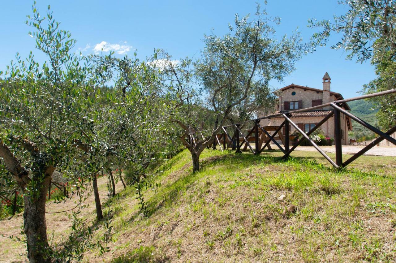 Agriturismo Molino Verde Montecchio  Bagian luar foto