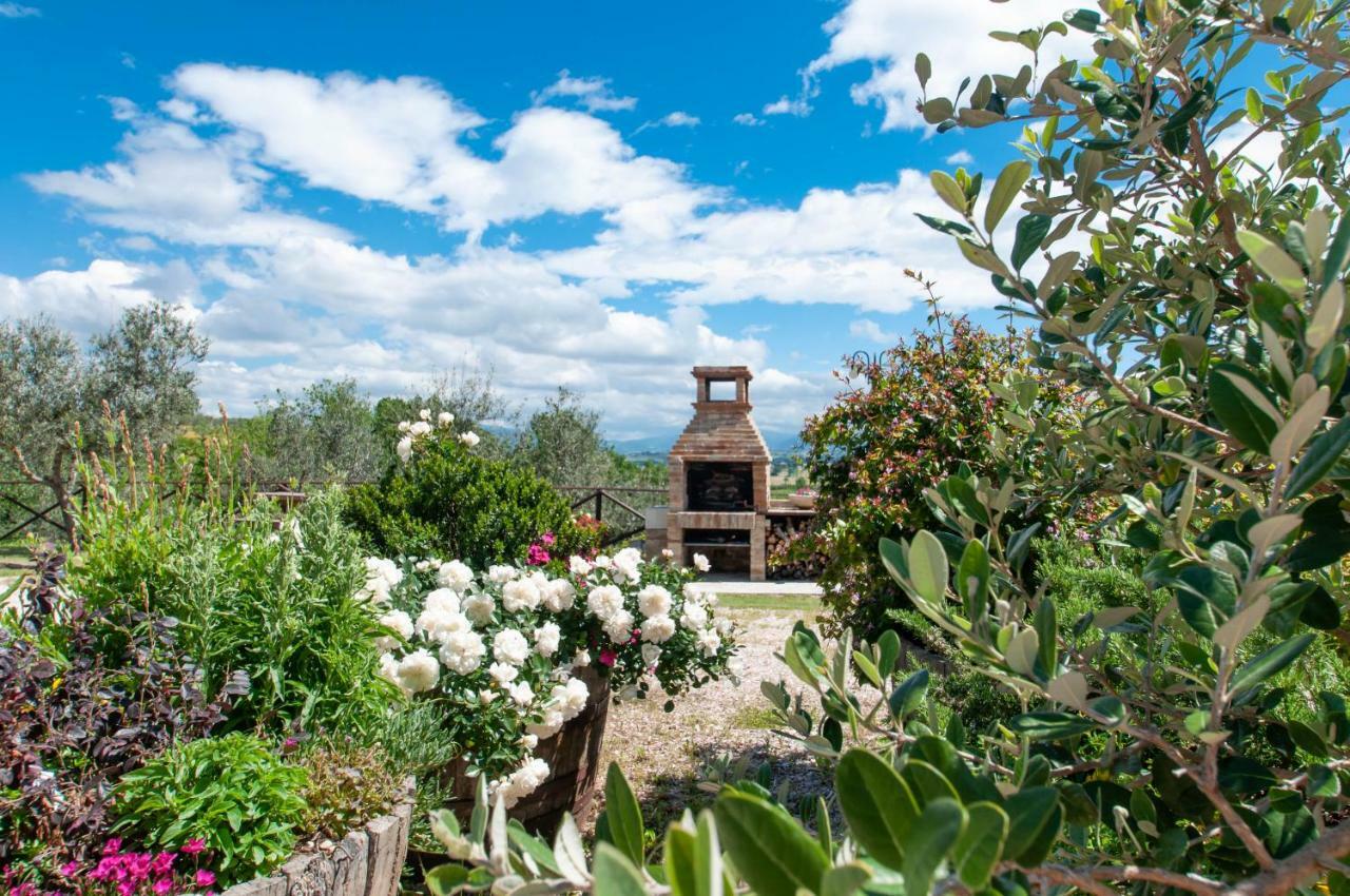 Agriturismo Molino Verde Montecchio  Bagian luar foto
