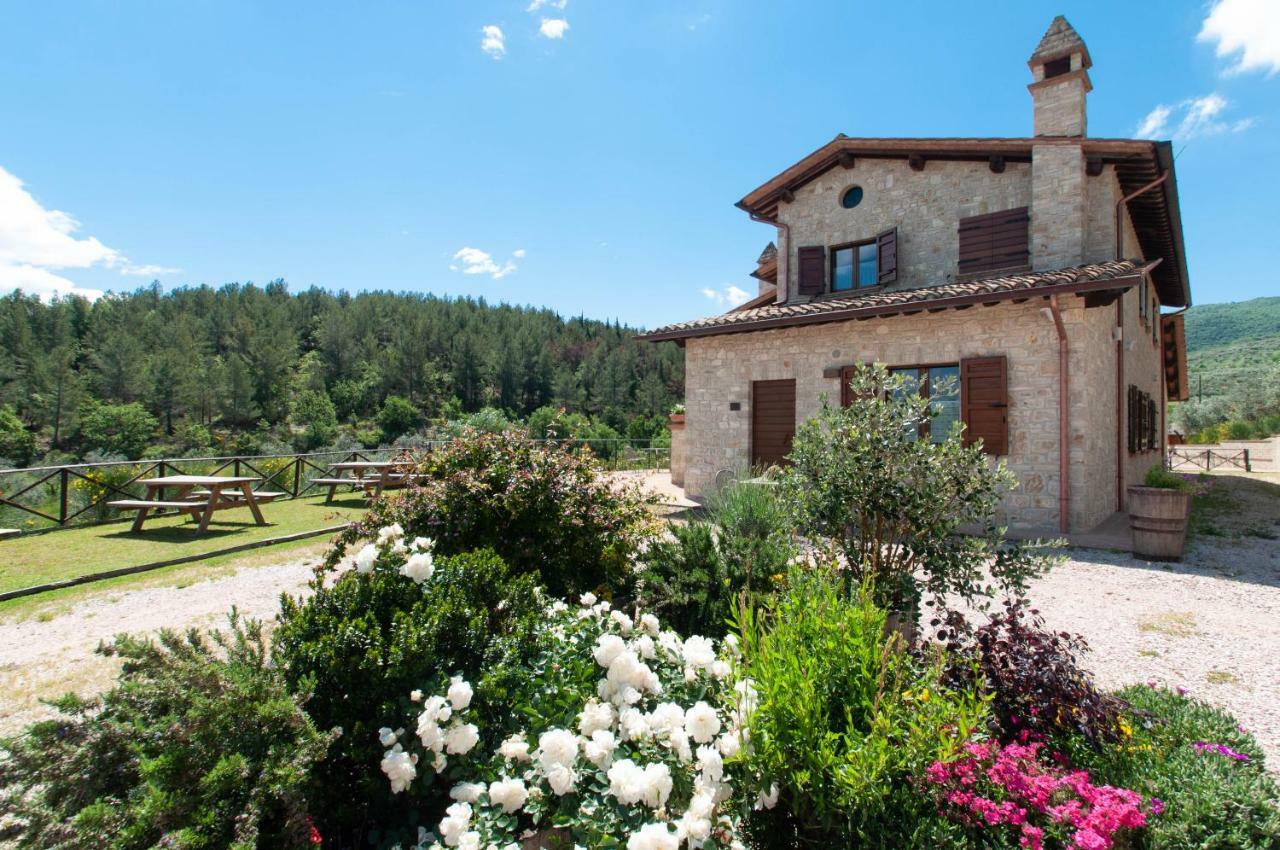Agriturismo Molino Verde Montecchio  Bagian luar foto